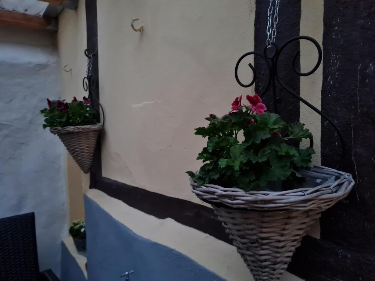 Ferienhaus Schatzliebe Quedlinburg Exterior foto